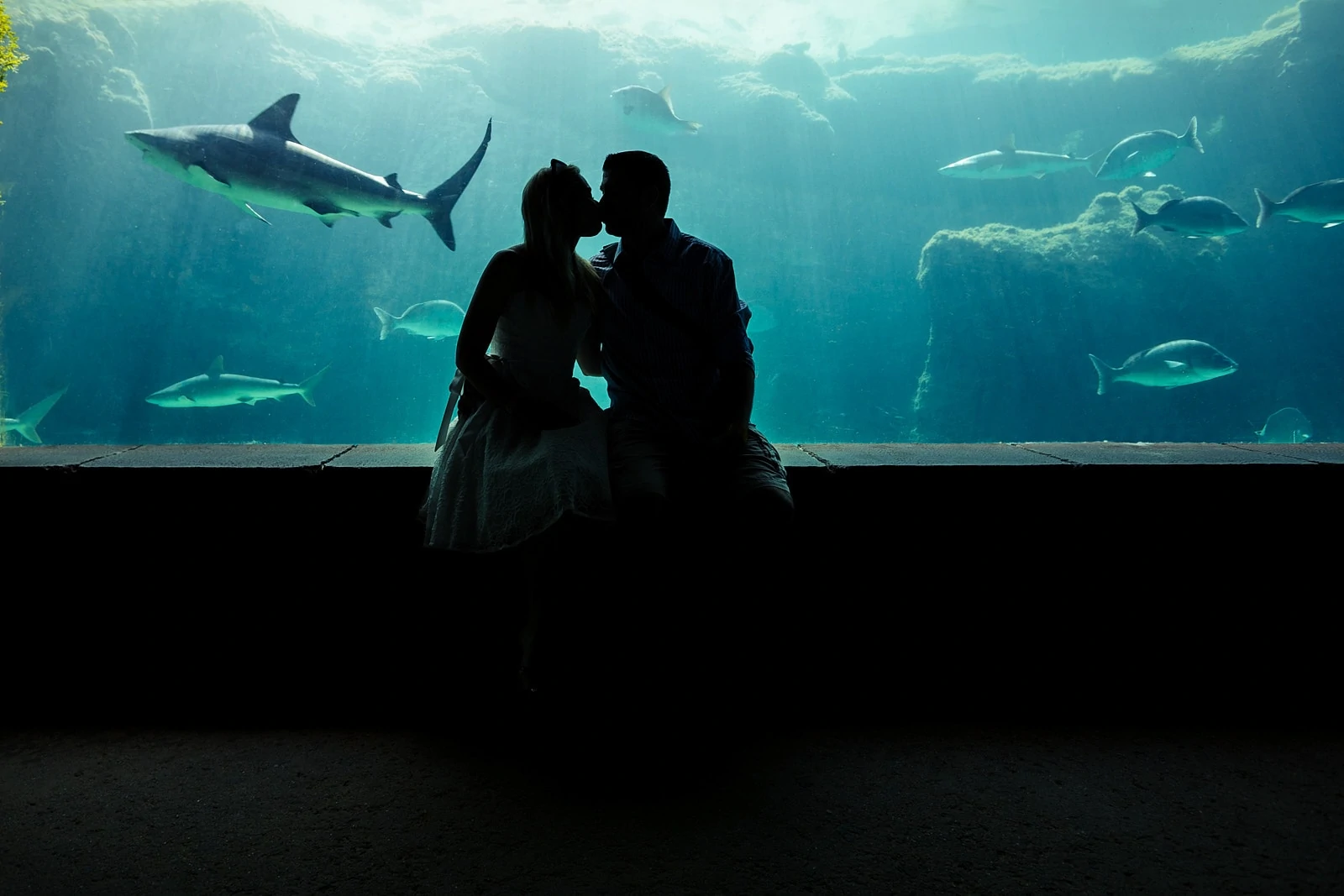 engaged couple kisses at Georgia Aquarium with sharks